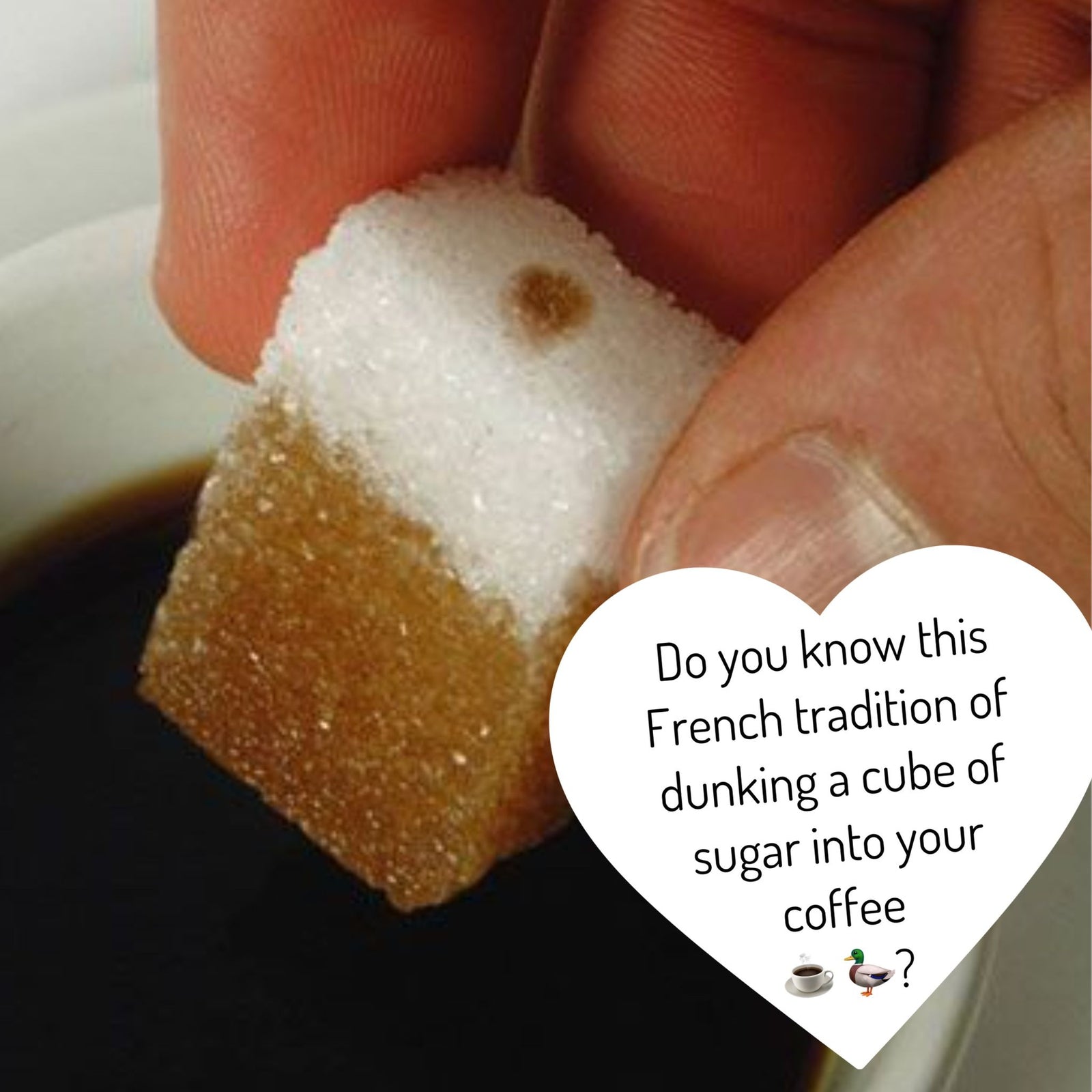 "Se faire un canard": The French Art of Sweetening Your Beverage