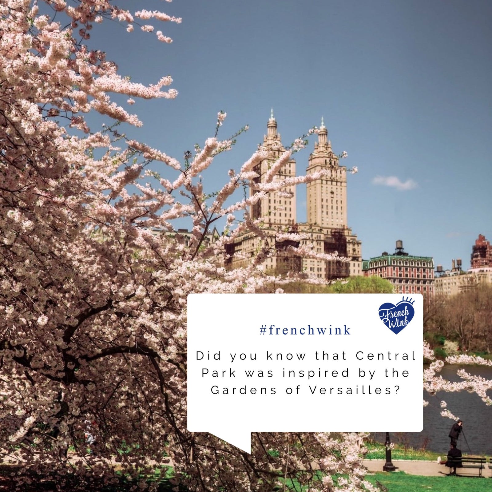 French Winks Across America: Central Park