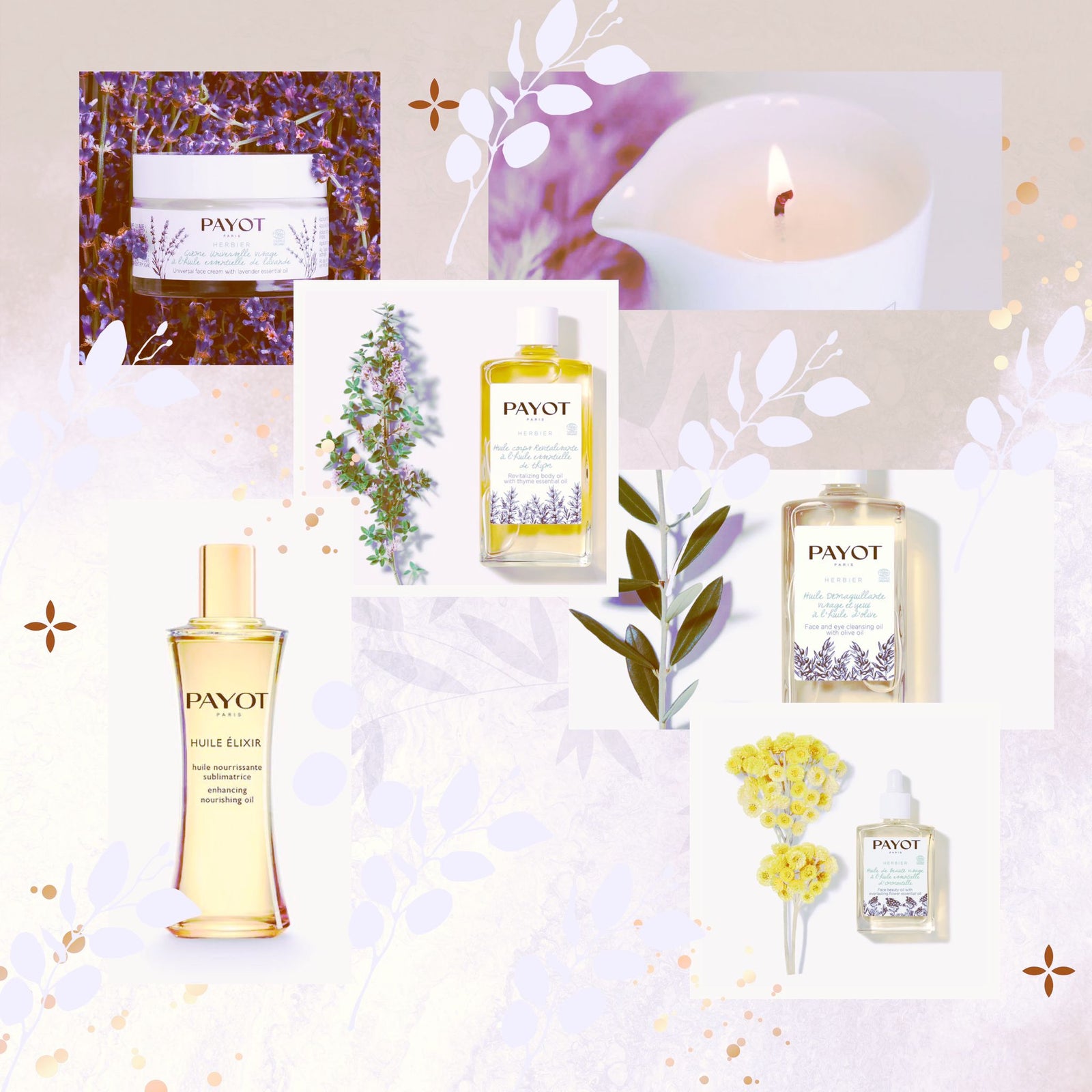 Winter to Spring Transition: A Guide to Nourishing Your Skin for a Radiant Glow