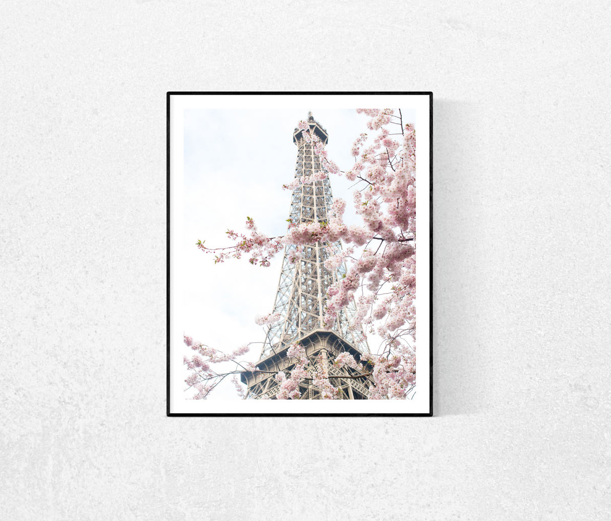 April in Paris photograph