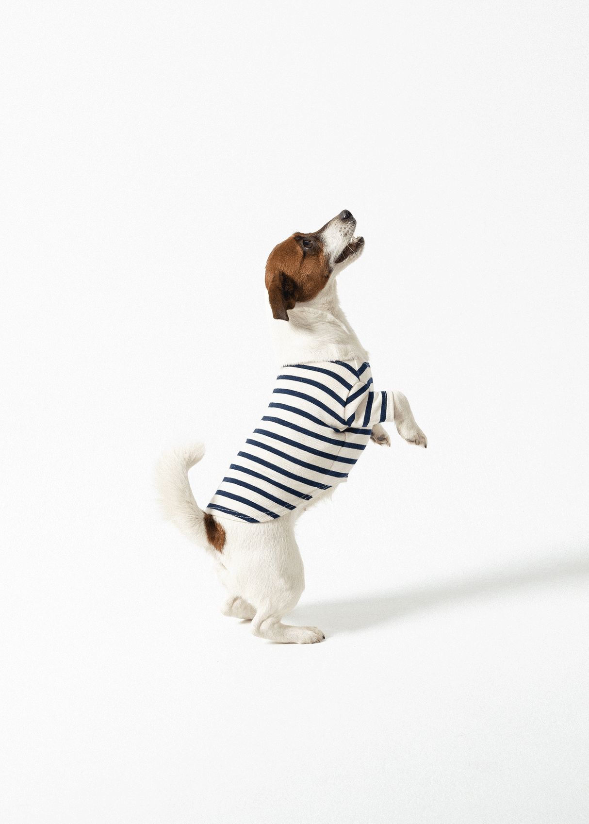 Saint James PARISIAN PUP SHIRT - Authentic Breton Shirt for Dog