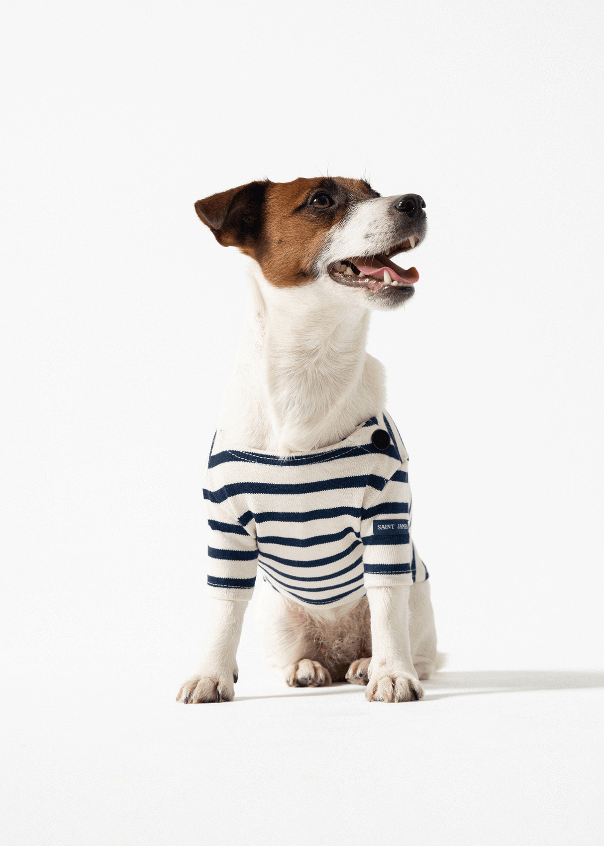 Saint James PARISIAN PUP SHIRT - Authentic Breton Shirt for Dog