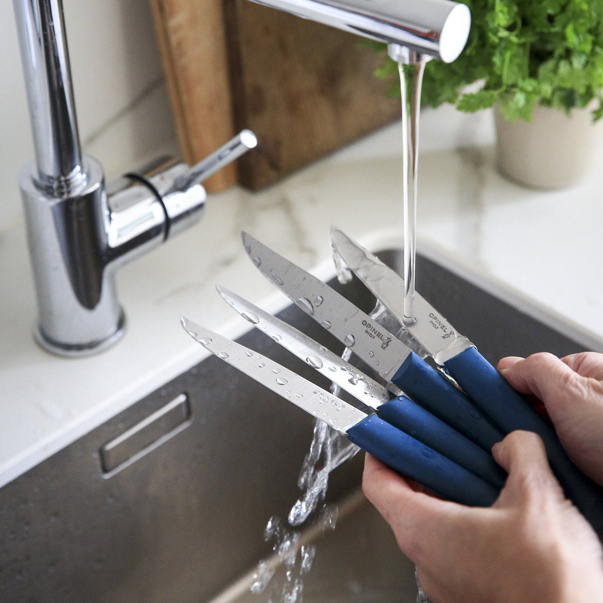 Bon Appétit - Set of 4 knives
