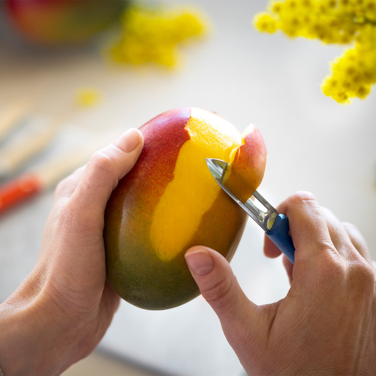 Essential Small Kitchen Knife Set