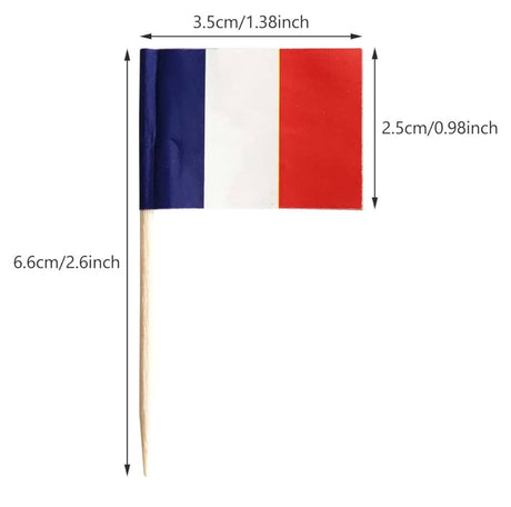 10 Mini French Flag Toothpick Decorations