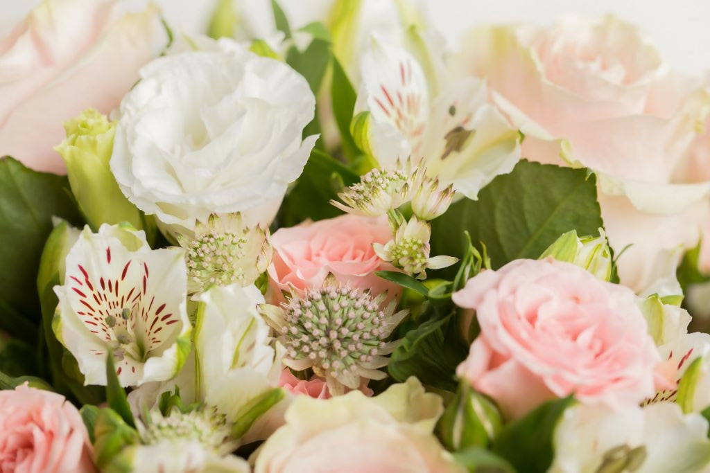Ode a la Rose Selection - Wonderbox 8
