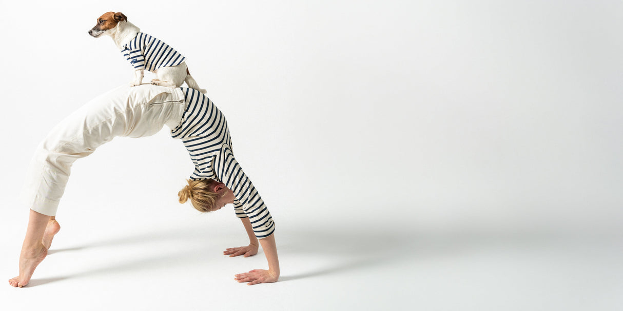 Saint James PARISIAN PUP SHIRT - Authentic Breton Shirt for Dog