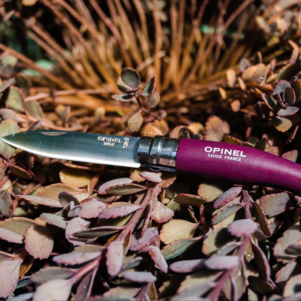 Stainless & Carbon Steel Garden Knife Trio - 3 Colors
