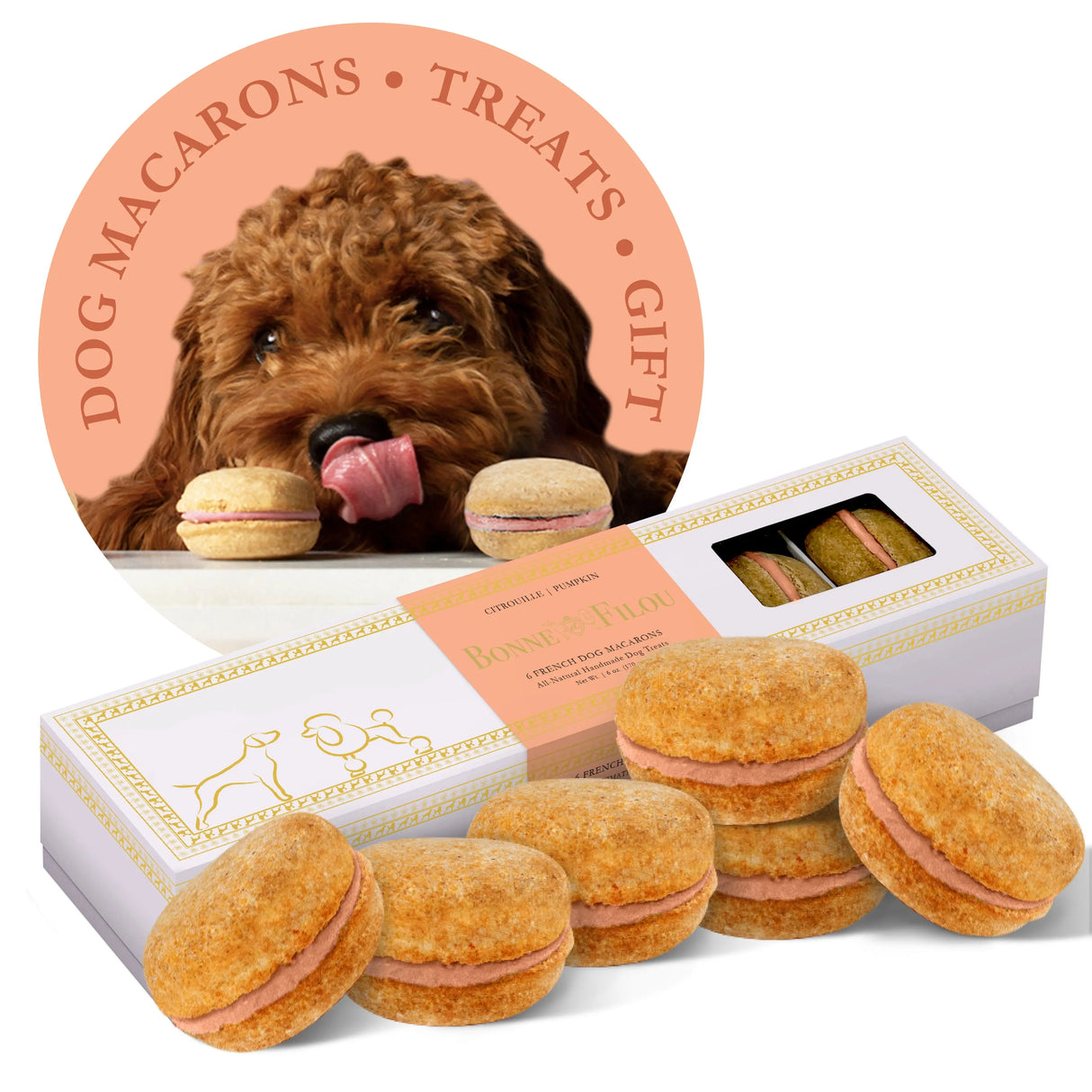 Dog Macarons (Box of 6)