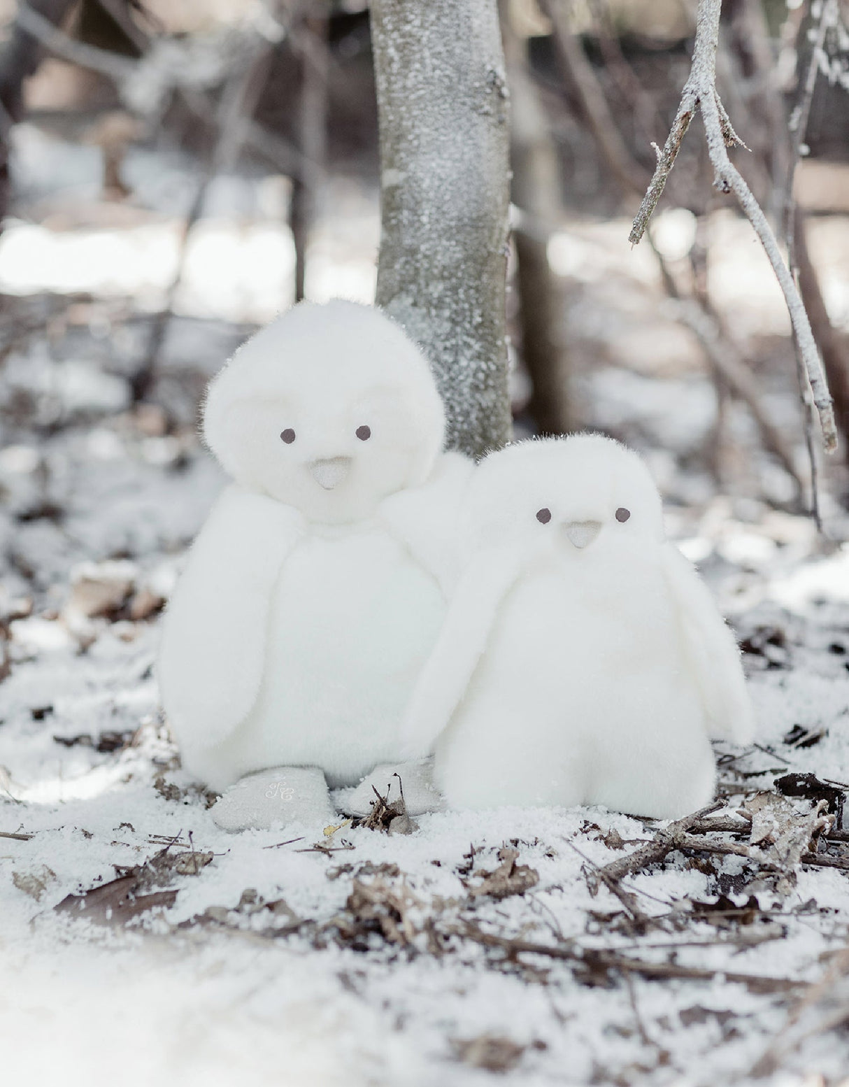 GABIN THE PENGUIN PAMPLEMOUSSE X TARTINE ET CHOCOLAT