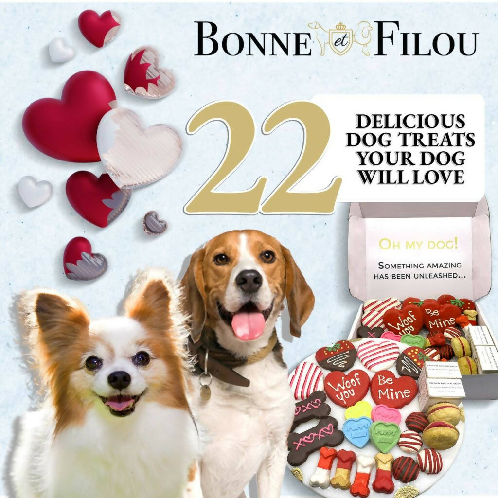 “I Love My Dog” Treat Box
