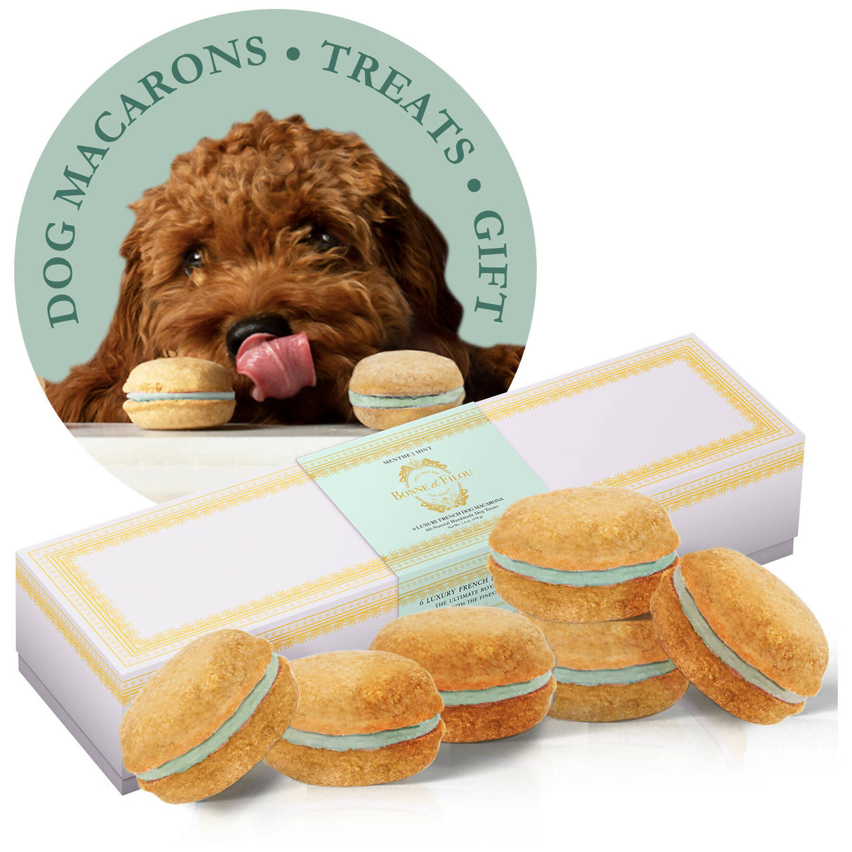 Dog Macarons - Box of 6 (Dog Treats | #1 Gift)