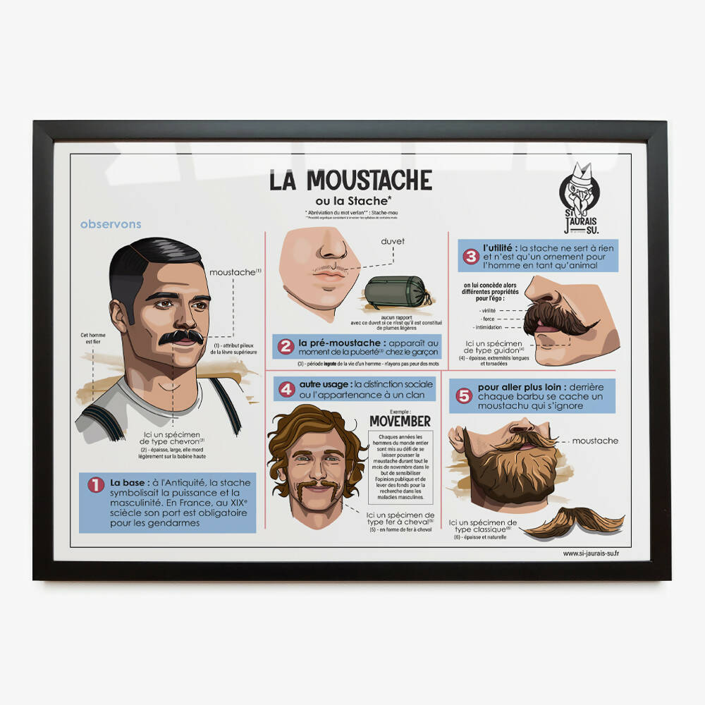 Poster - La Moustache