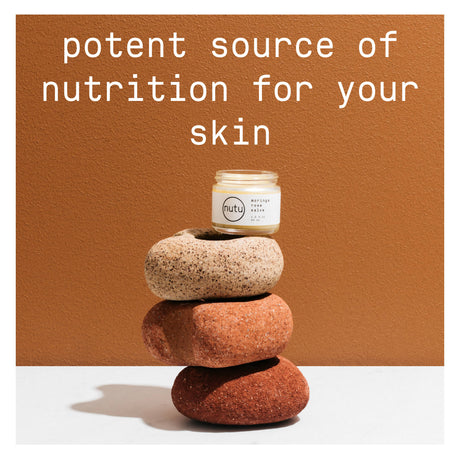 Moringa Rose Salve