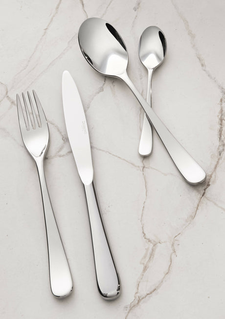 Flatware Set Aquatic by Degrenne Paris