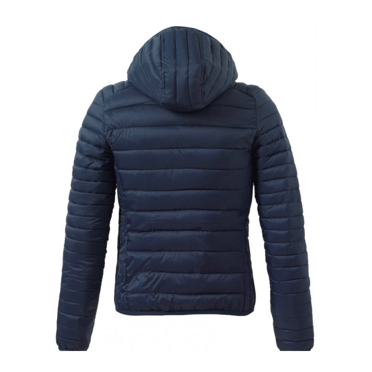 Jacket - Navy (back)