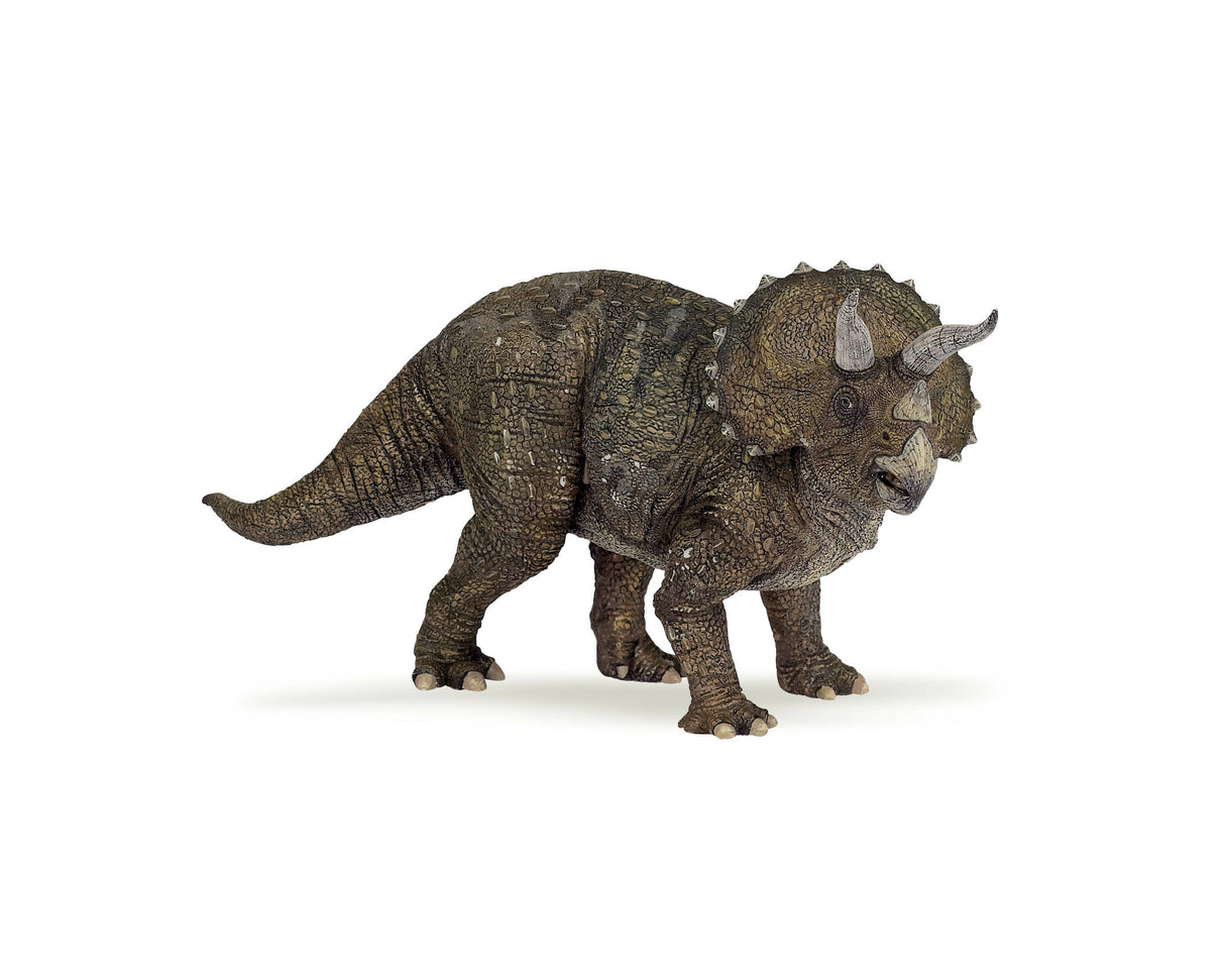 Triceratops