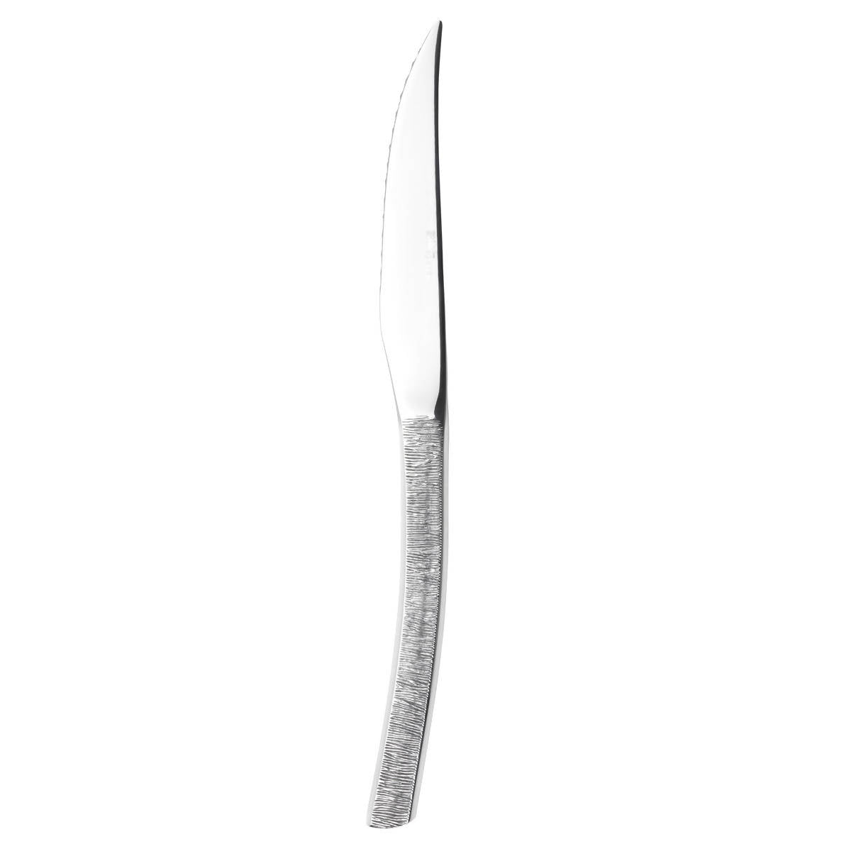 Astree Cisele Gift Box of Steak Knives Solid Handle Serrated by Degrenne Paris