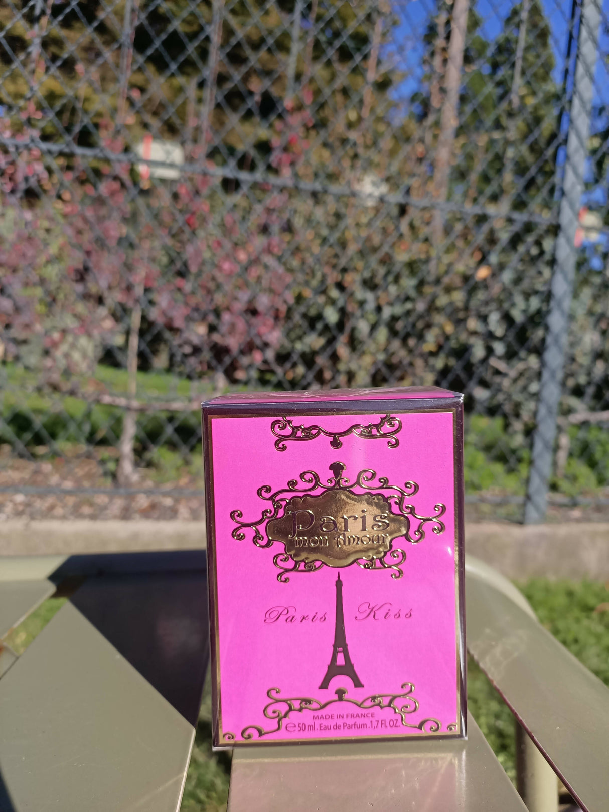 Paris Kiss