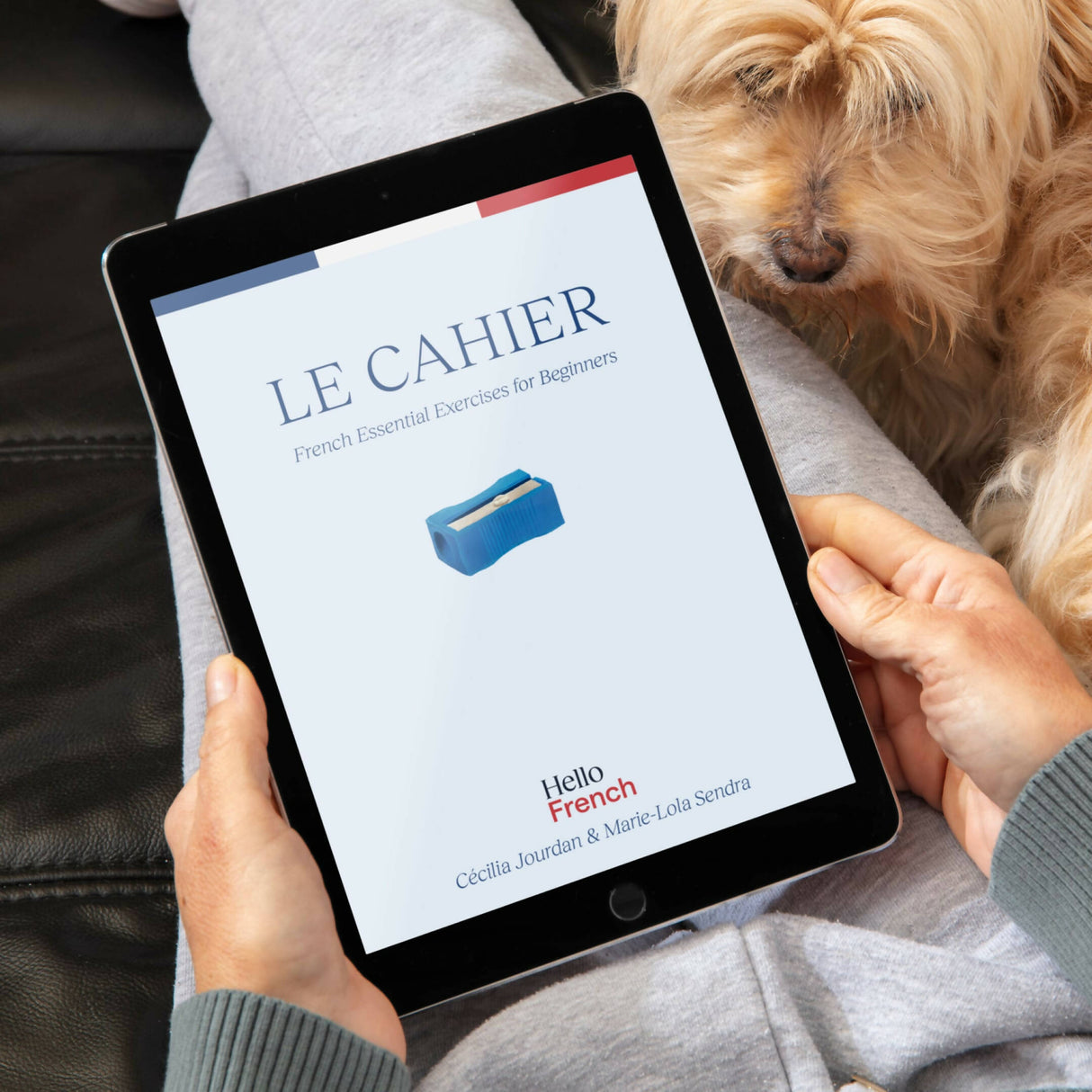 Le Cahier: French Essential Exercises for Beginners