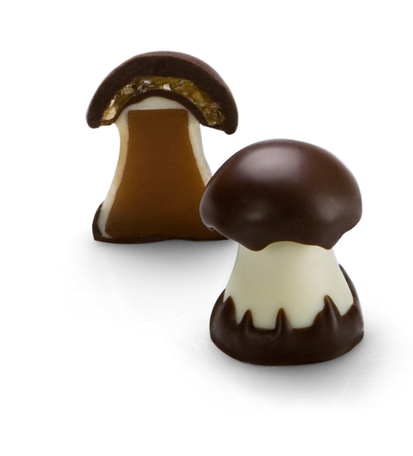 Chocolate Mushroom Gift Box