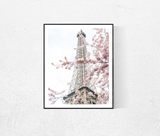 April in Paris photograph