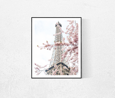 April in Paris photograph