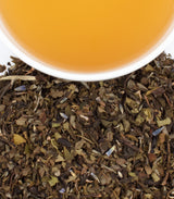 Provence, Tin of 20 Sachets