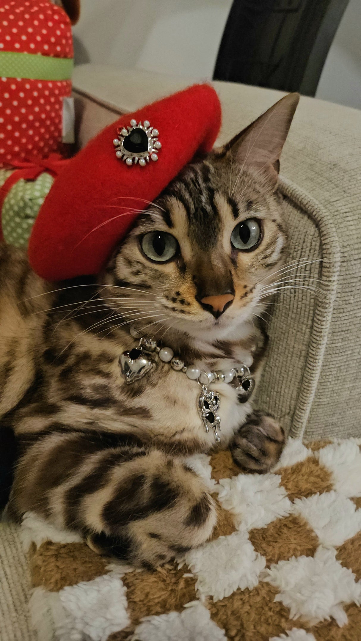 Bad Romance Pet Beret