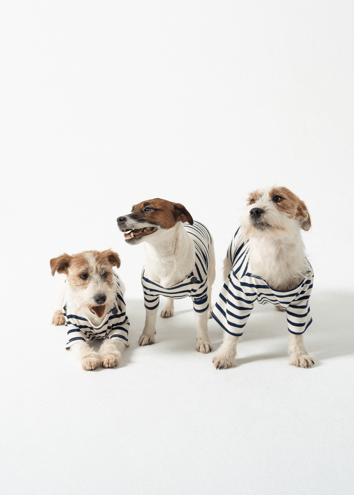 Saint James PARISIAN PUP SHIRT - Authentic Breton Shirt for Dog