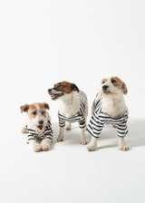 Saint James PARISIAN PUP SHIRT - Authentic Breton Shirt for Dog
