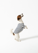 Saint James PARISIAN PUP SHIRT - Authentic Breton Shirt for Dog