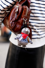 Léon le Pigeon Parisien – The Unofficial Mascot of Paris