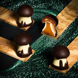 Chocolate Mushroom Gift Box