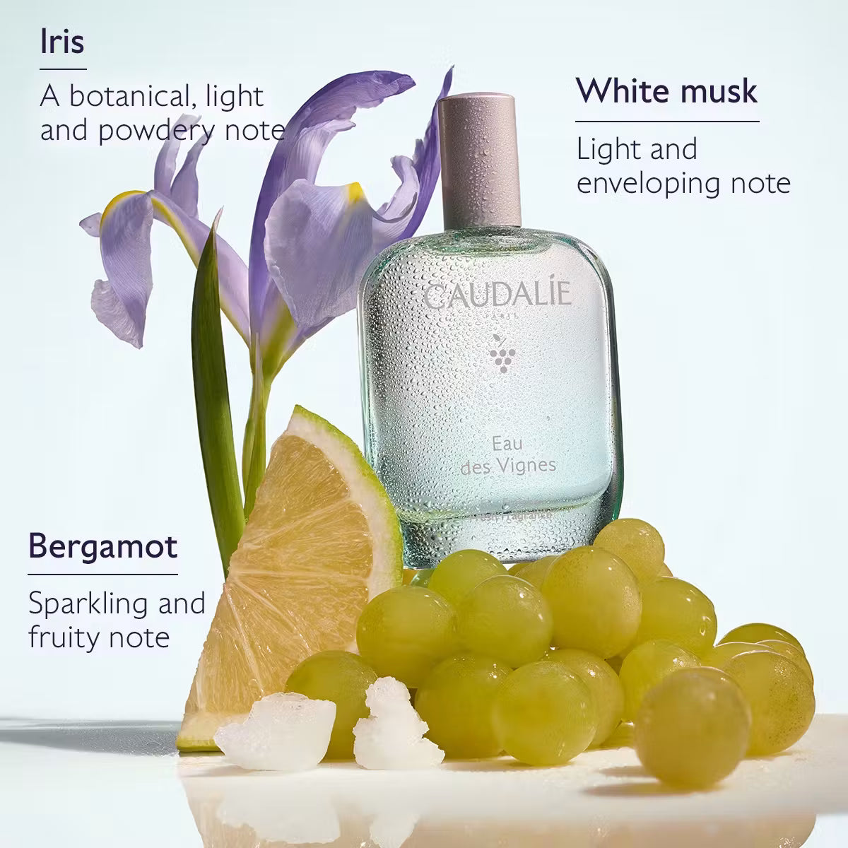 Caudalie Fleur de Vigne Eau Fraîche – French Wink