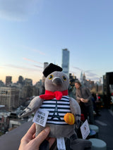 Léon le Pigeon Parisien – The Unofficial Mascot of Paris