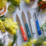 Essential Small Kitchen Knife Set