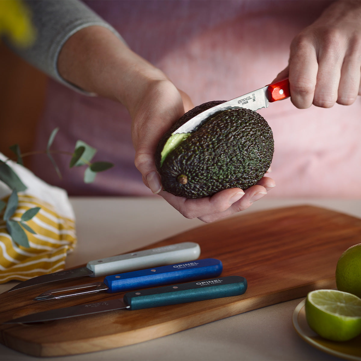 Essential Small Kitchen Knife Set