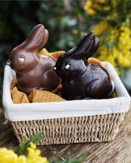 Chevaliers d'Argouges - Bunny 70% Dark Chocolate