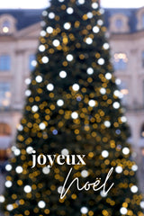Holiday Paris Notecard Mixed Set