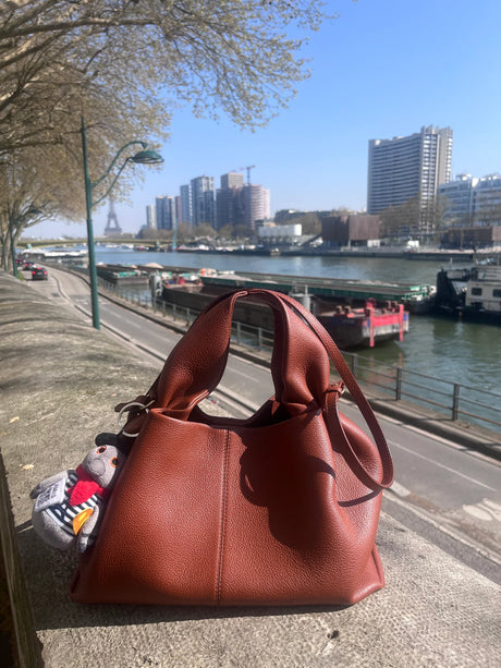 Léon le Pigeon Parisien – The Unofficial Mascot of Paris