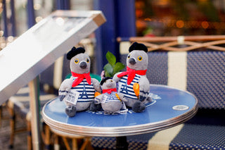 Léon le Pigeon Parisien – The Unofficial Mascot of Paris