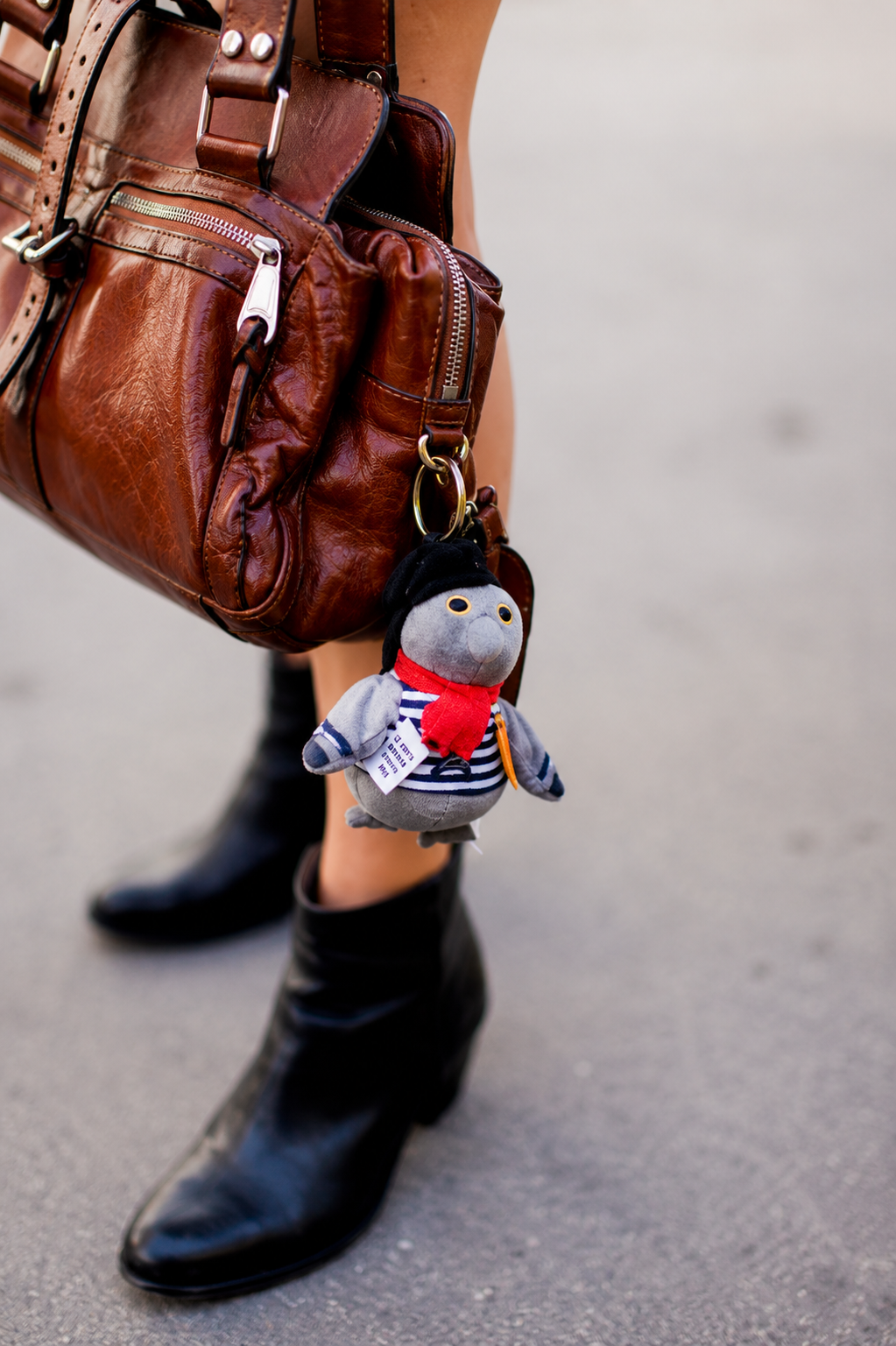 Léon le Pigeon Parisien – The Unofficial Mascot of Paris