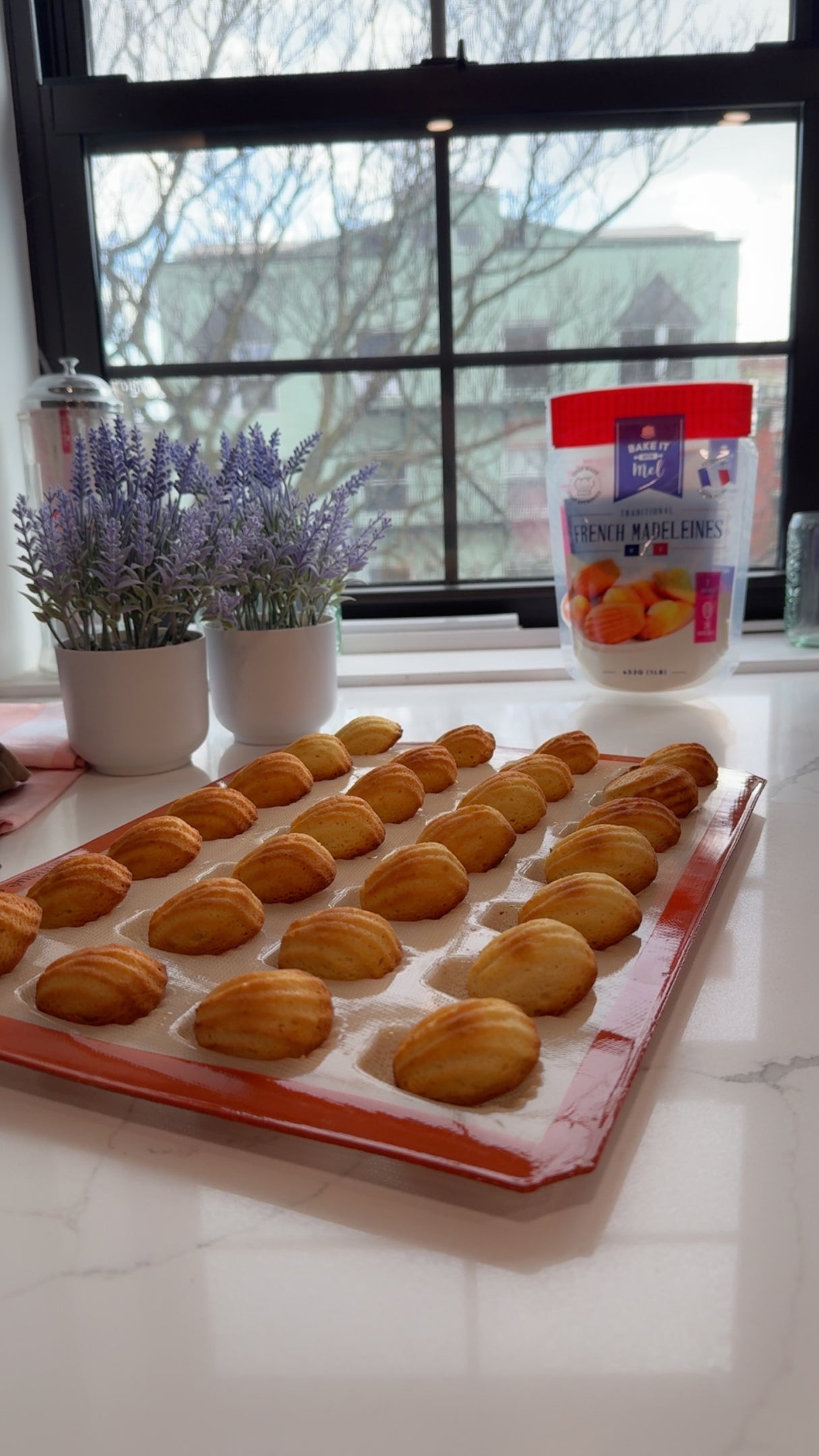 Madeleine Baking Box - mix & mold included