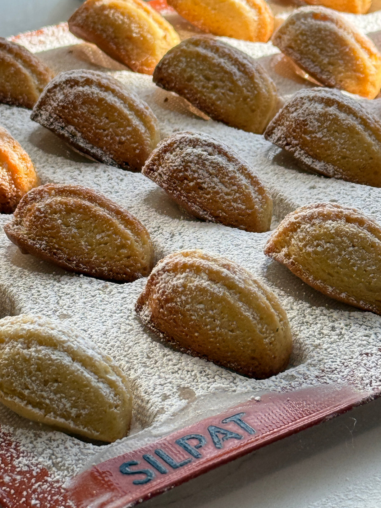 Madeleine Baking Box - mix & mold included