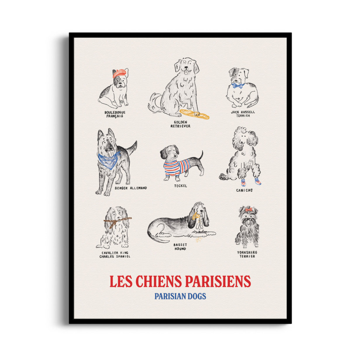 Hello-French-Poster-Dogs-Chiens-18x24-5