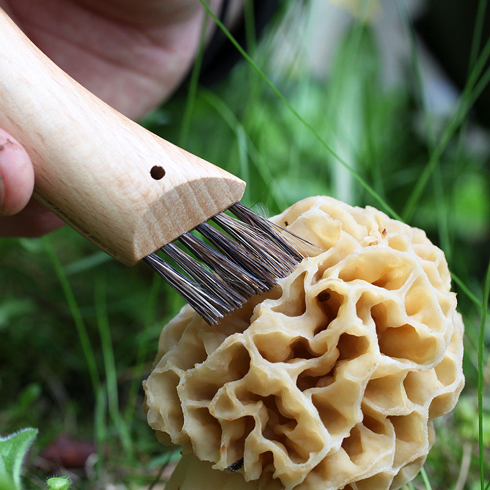 No.08 Mushroom Knife - Oak Wood Handle with Sheath