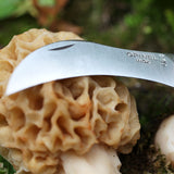 No.08 Mushroom Knife - Oak Wood Handle with Sheath