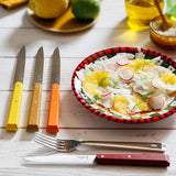 Bon Appétit Steak Knives - Set of 4