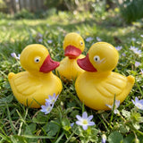 Artisanal Chocolate Little Ducklings Trio